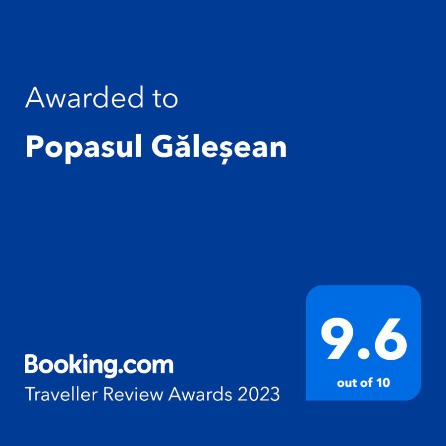 ホテル Popasul Galesean Galesu エクステリア 写真